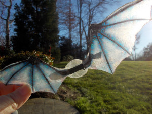 Bearded dragon wings